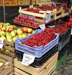 Fruits for sale at market stall