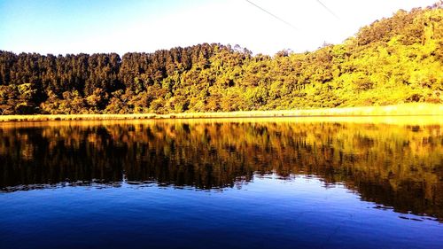 Reflection of trees in lake against sky