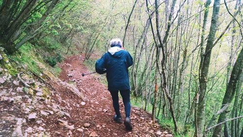 Full length of woman standing in forest