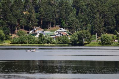 Scenic view of lake in forest