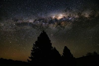 Low angle view of silhouette trees against sky at night