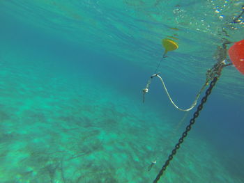 Low angle view of buoy underwater