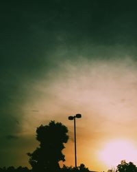 Low angle view of trees against sky at sunset