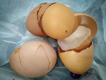 High angle view of eggs on table