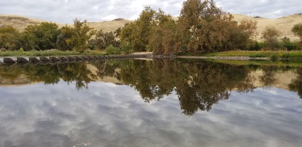 Reflection of trees in lake against sky