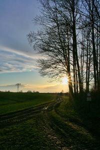 Scenic view of field against sky at sunset