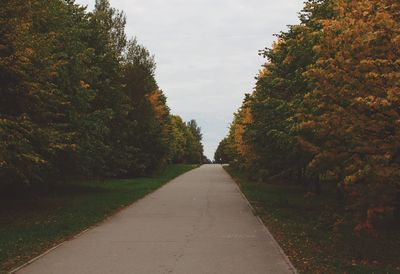 Street amidst trees at park