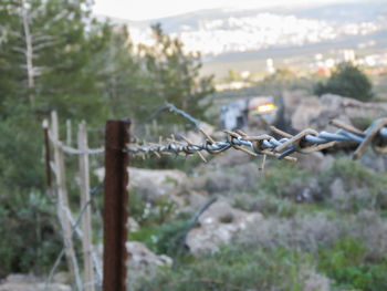 Close-up of barbed wire against sky