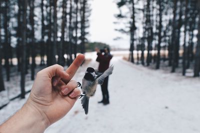 Cropped hand showing obscene gesture in front of great tit and man on road
