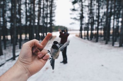 Cropped image of man holding hands