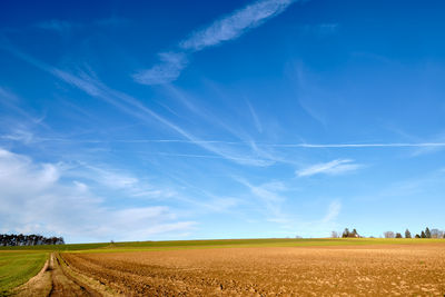 Scenic view of agricultural field against blue sky