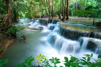 View of waterfall in forest