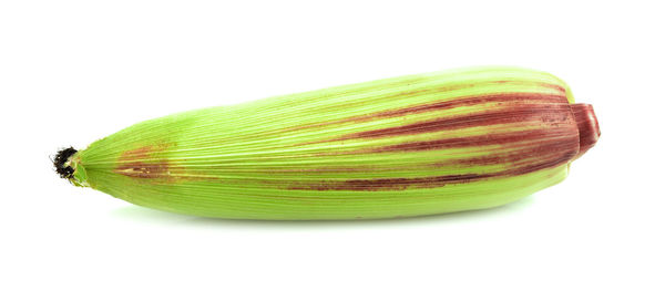 Close-up of green leaf against white background