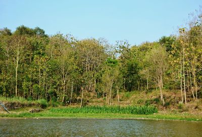 Scenic view of green landscape and river against clear sky