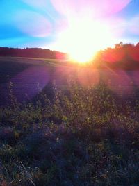 Scenic view of grassy field against sky during sunset