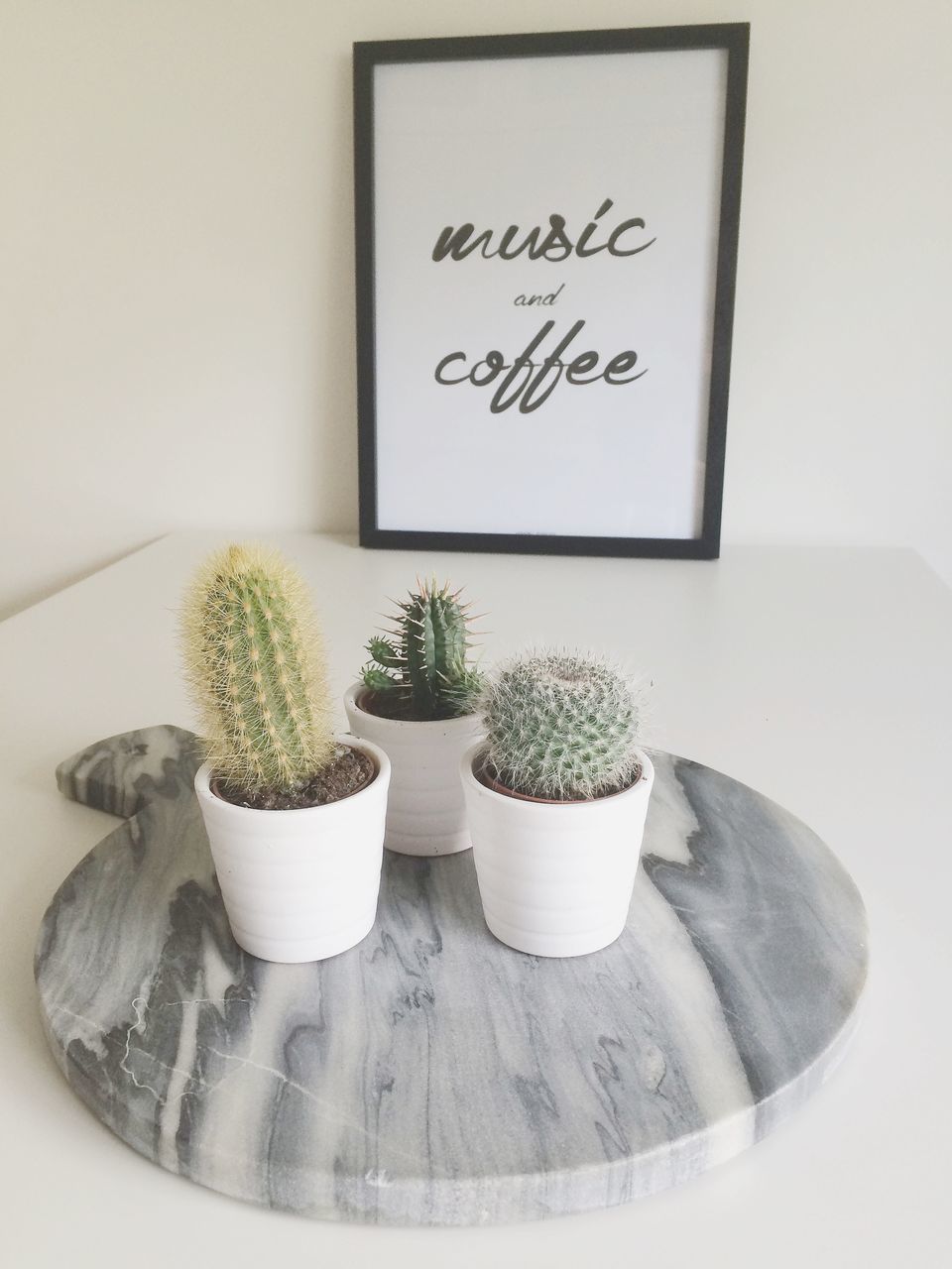 indoors, potted plant, flower, table, freshness, still life, plant, vase, wall - building feature, home interior, flower pot, close-up, food and drink, growth, decoration, no people, text, wall, container, jar