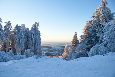 Snow covered land and trees against clear sky during winter