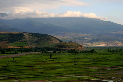 Scenic view of agricultural field and mountains against sky