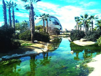 Reflection of trees in water