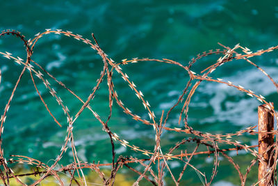 Close-up of fence against sea