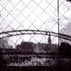 Reflection of trees in water