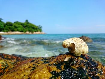 Close-up of rocks in sea