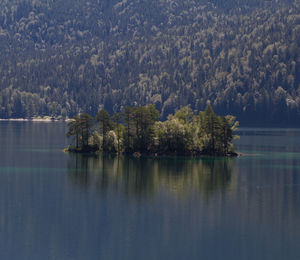 Scenic view of lake in forest