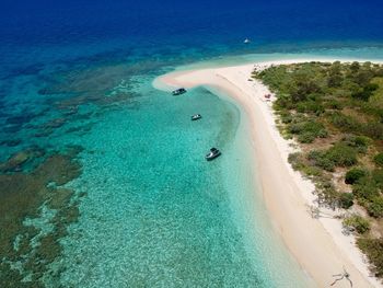 New caledonia 