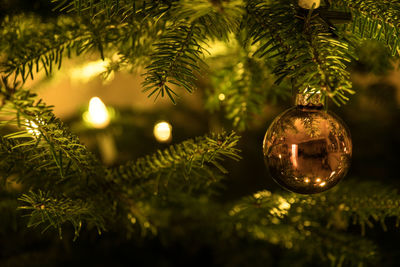 Close-up of bauble on illuminated christmas tree at night