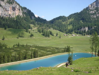 Scenic view of trees on field against sky