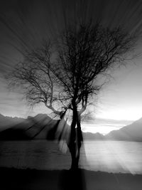 Bare tree by lake against sky
