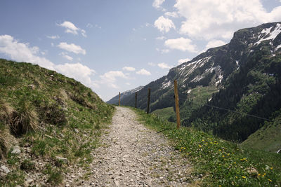 Road amidst plants against sky