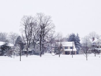 Bare trees on snow covered field