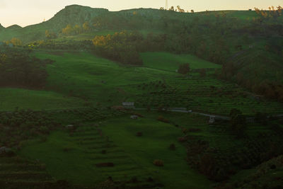 High angle view of agricultural field