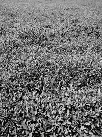 Full frame shot of white background