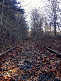 Full frame shot of wet railroad track