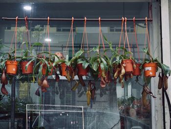 Various fruits hanging on glass at night