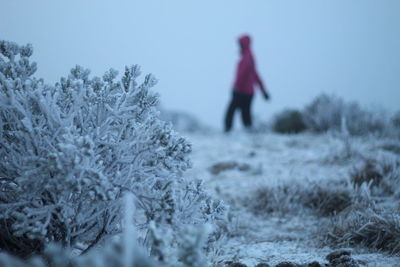 winter