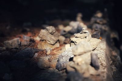 Close-up of rocks on wood