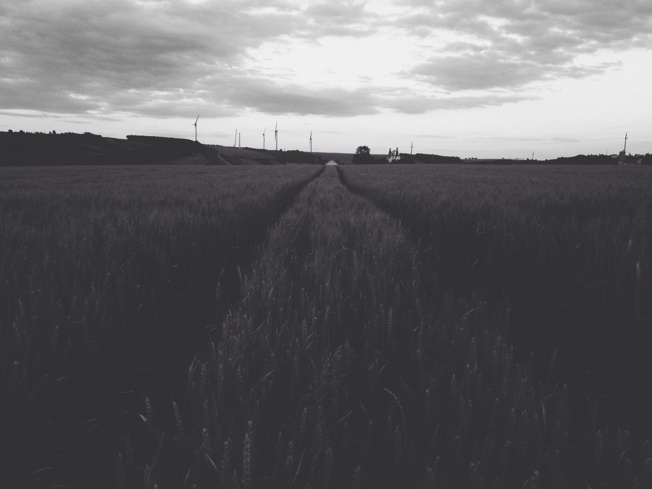 sky, field, landscape, cloud - sky, agriculture, rural scene, cloudy, the way forward, farm, tranquil scene, cloud, tranquility, horizon over land, nature, diminishing perspective, scenics, grass, vanishing point, dirt road, beauty in nature