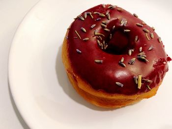 High angle view of dessert in plate