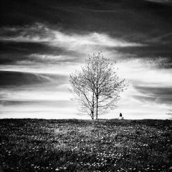 Bare trees on field against cloudy sky