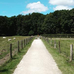 Road amidst fence on grassy field