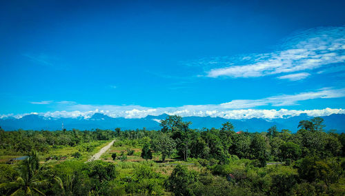 Scenic view of landscape against blue sky