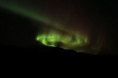 Scenic view of aurora borealis against star field