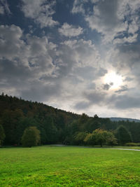 Trees on grassy landscape against cloudy sky