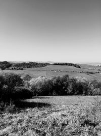 Scenic view of field against clear sky