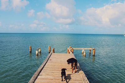 View of pier on sea