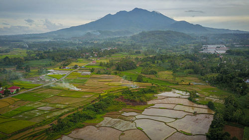 Scenic view of agricultural field against sky