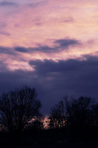 Silhouette trees against sky during sunset